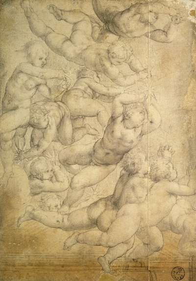 プッティ（紙にチョーク） 作： Agnolo Bronzino